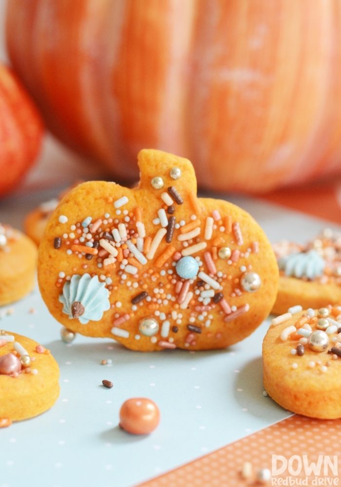 A tall closeup of the Pumpkin Sprinkle Cookies.