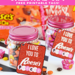 Reese's Pieces Valentines