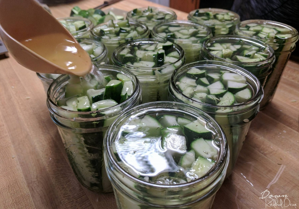 filling mason jars with pickling brine