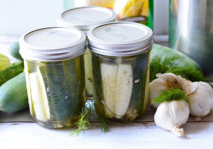 easy refrigerator pickles