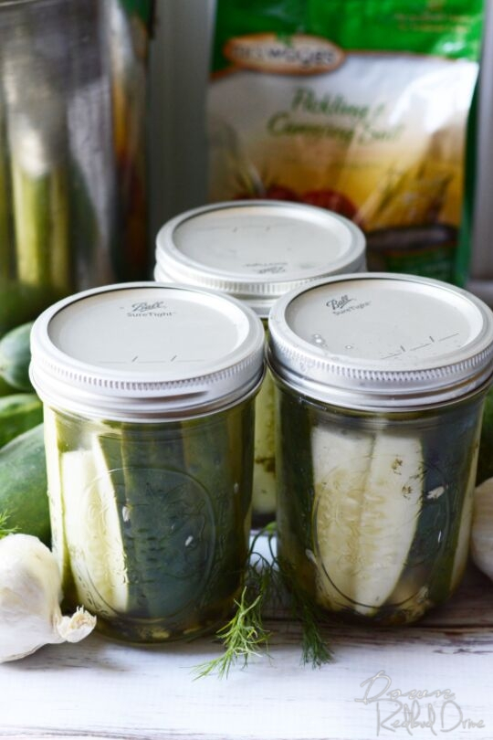 easy refrigerator pickles