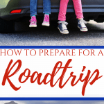 What You Should Do To Prepare for a Roadtrip