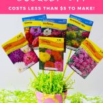 DIY Seed Bouquet gift