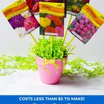 DIY Seed Bouquet gift