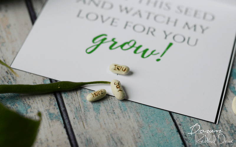 Personalized Seeds