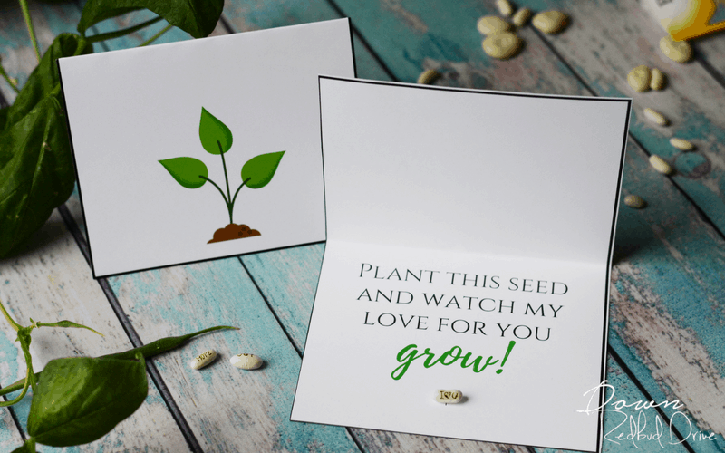 Personalized Seeds