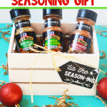 Tis The Season-ing DIY Gift