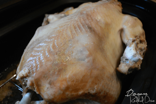 Overhead shot of a cooked turkey in a roaster.