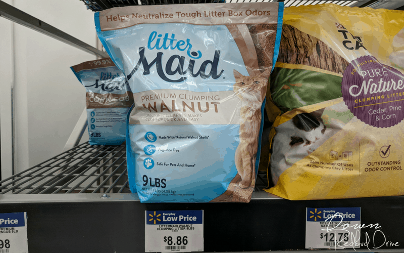 7 things you should be buying for your cat