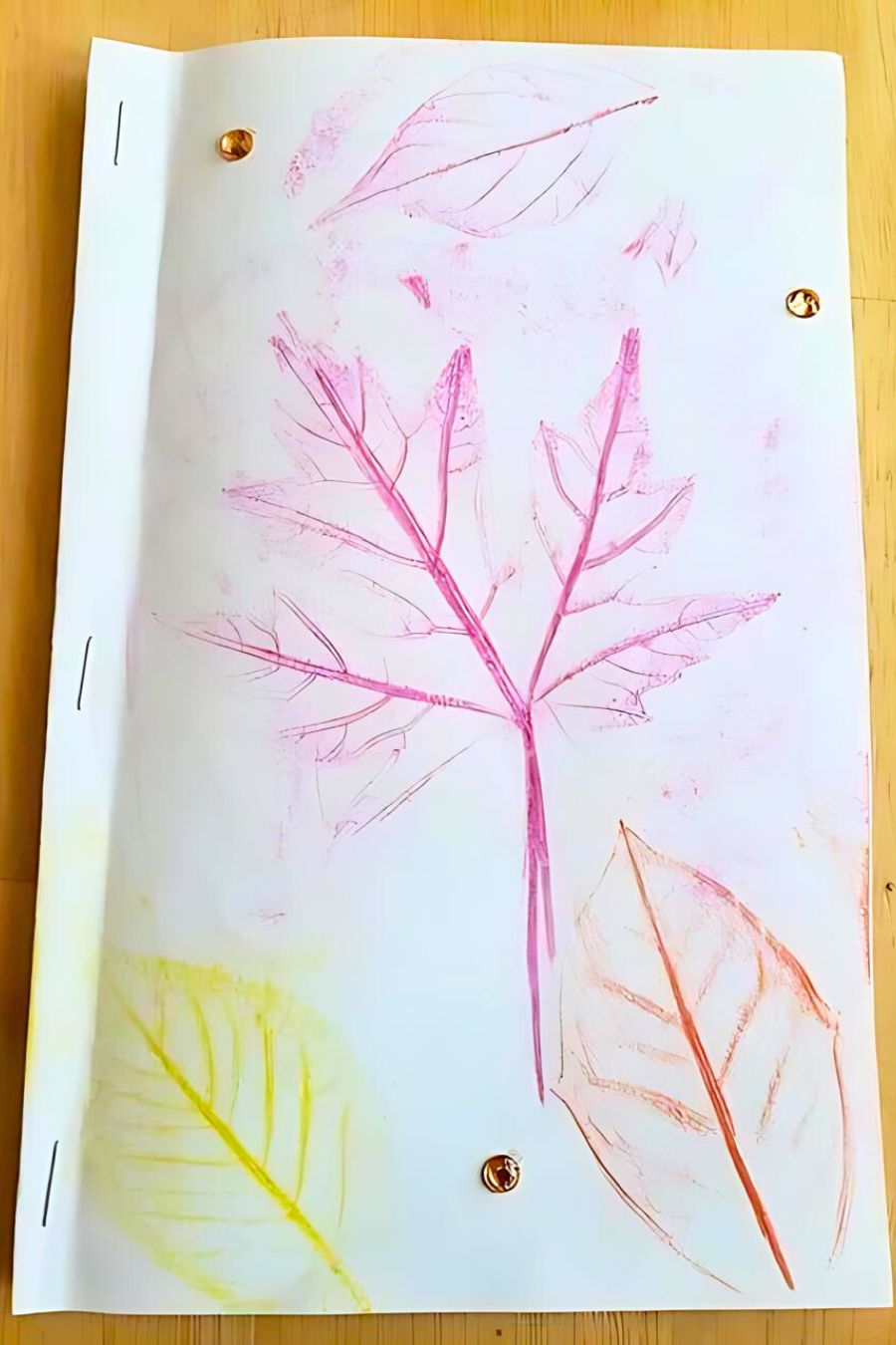 a booklet of fall leaf rubbings