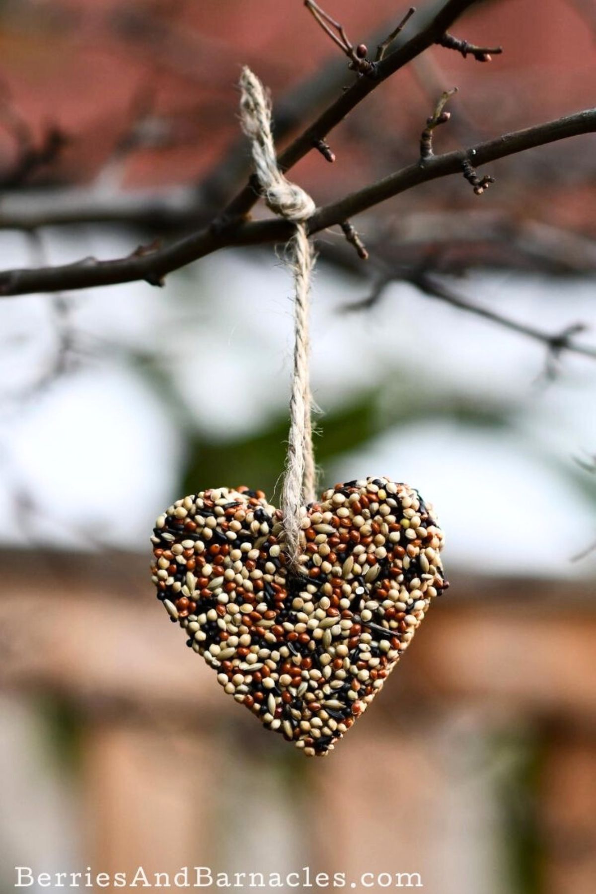 A heart shaped birdseed feeder hanging from a tree